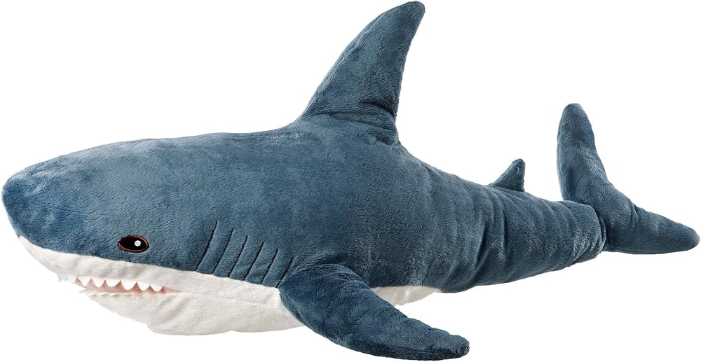 Shark Friend 1
